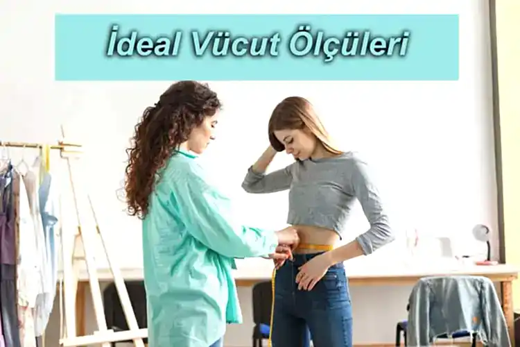 Kadınlarda İdeal Vücut Ölçüleri