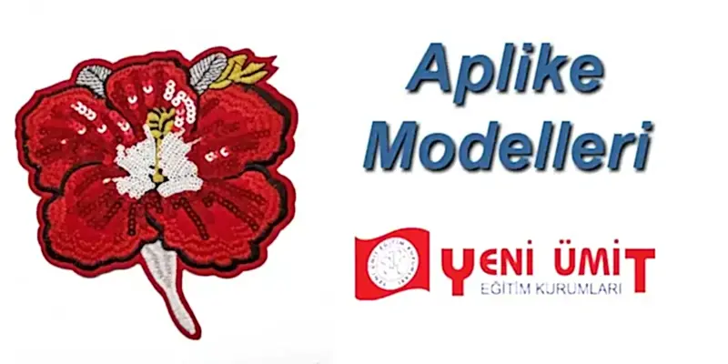 Aplike Modelleri